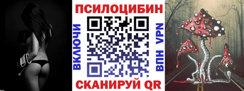 Купить закладки  Барабинск  Псилоцибиновые грибы GOLDEN TEACHER 
